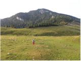 Pod Krnico - Tolsta Košuta - western peak